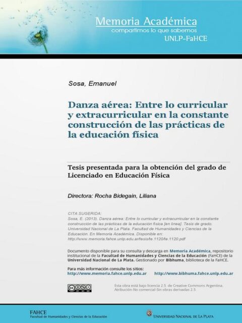 Danza aérea