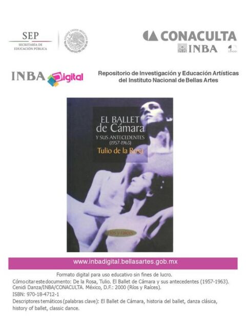 El Ballet de Cámara y sus antecedentes