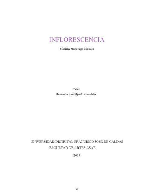 Inflorescencia