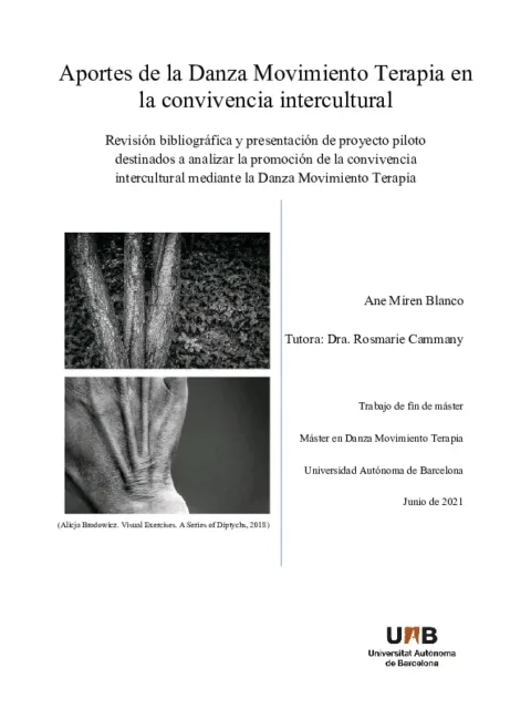 Aportes de la Danza Movimiento Terapia en la convivencia intercultural. Revisión bibliográfica y presentación de proyecto piloto destinados a analizar la promoción de la convivencia intercultural mediante la Danza Movimiento Terapia