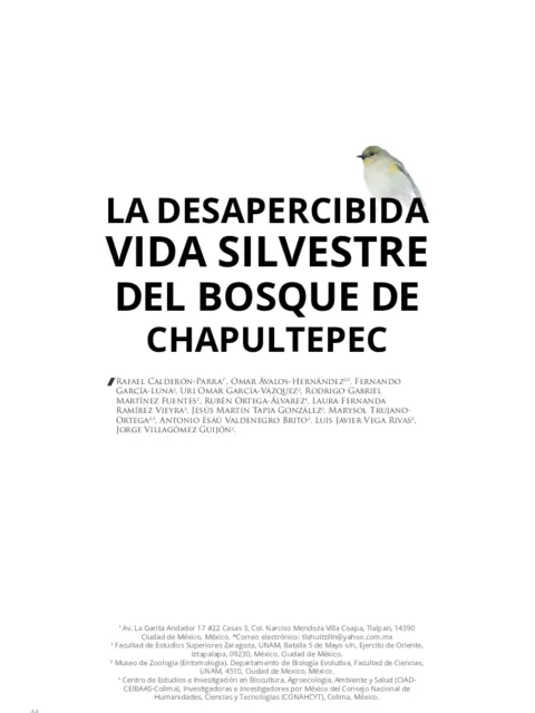 Creación ciudad fronteriza