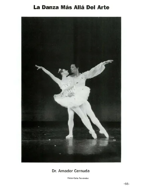 La danza más allá del arte