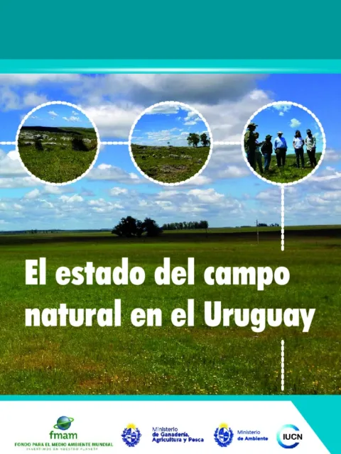 El bailarín en el Uruguay