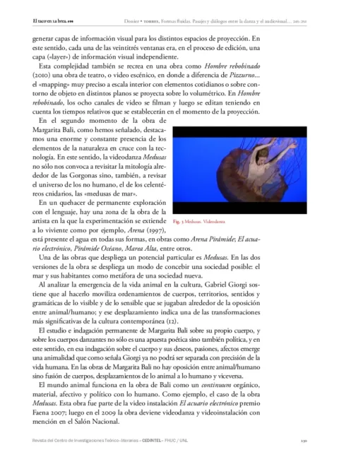 Formas  fluidas. Pasajes y diálogos entre la danza y el audiovisual. Sobre Pizzurno pixelado y Medusas  de Margarita Bali