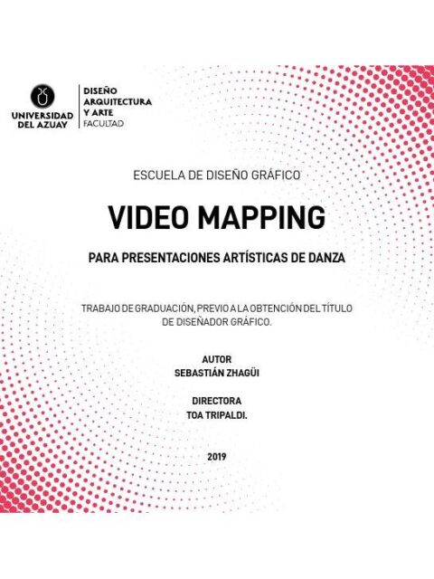 Video mapping