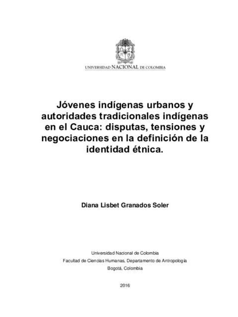 Jóvenes indígenas urbanos y autoridades tradicionales indígenas en el Cauca: disputas, tensiones y negociaciones en la definición de la identidad étnica.